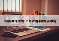 币圈区块链是做什么的公司[币圈是骗局吗]